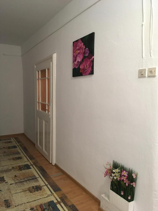 House Centrul Istoric Ll Apartment Сибиу Екстериор снимка